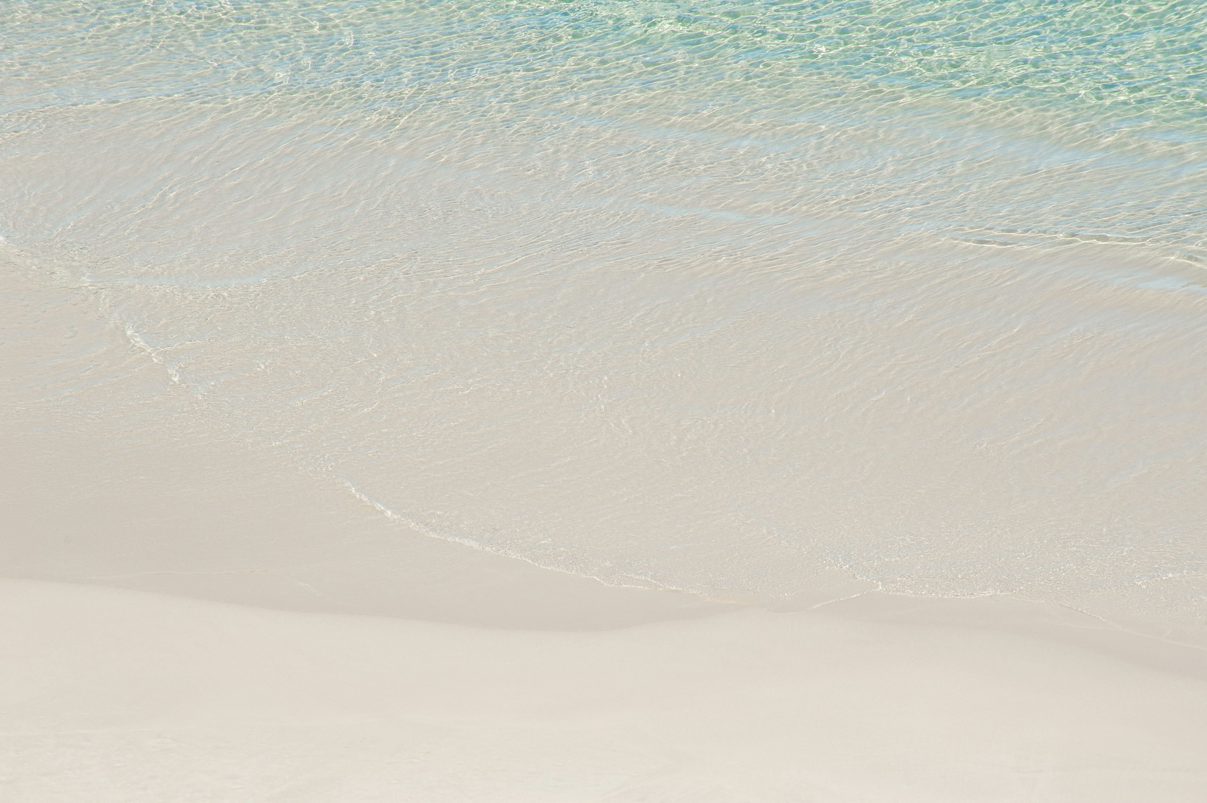 a couple of people walking along a beach next to the ocean